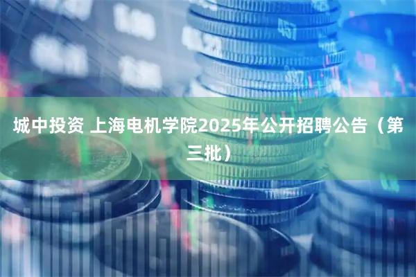 城中投资 上海电机学院2025年公开招聘公告（第三批）