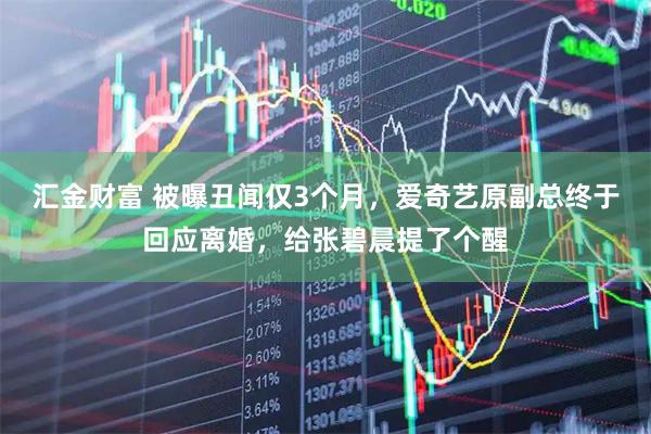 汇金财富 被曝丑闻仅3个月，爱奇艺原副总终于回应离婚，给张碧晨提了个醒