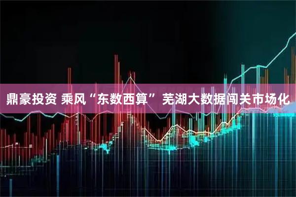 鼎豪投资 乘风“东数西算” 芜湖大数据闯关市场化
